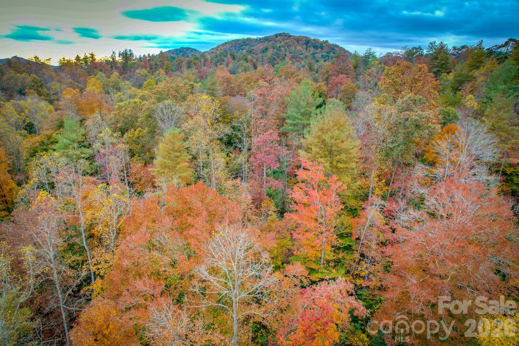 0 Grandin Road, Unit 2 Lenoir, NC 28645 - Photo 4 of 15