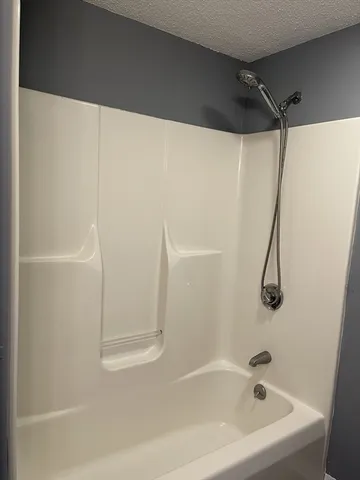 a bathroom with a shower and a bath tub