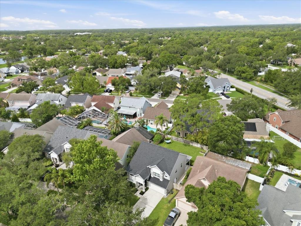 14518 Nettlecreek Road Tampa, FL 33624 - Photo 52 of 54