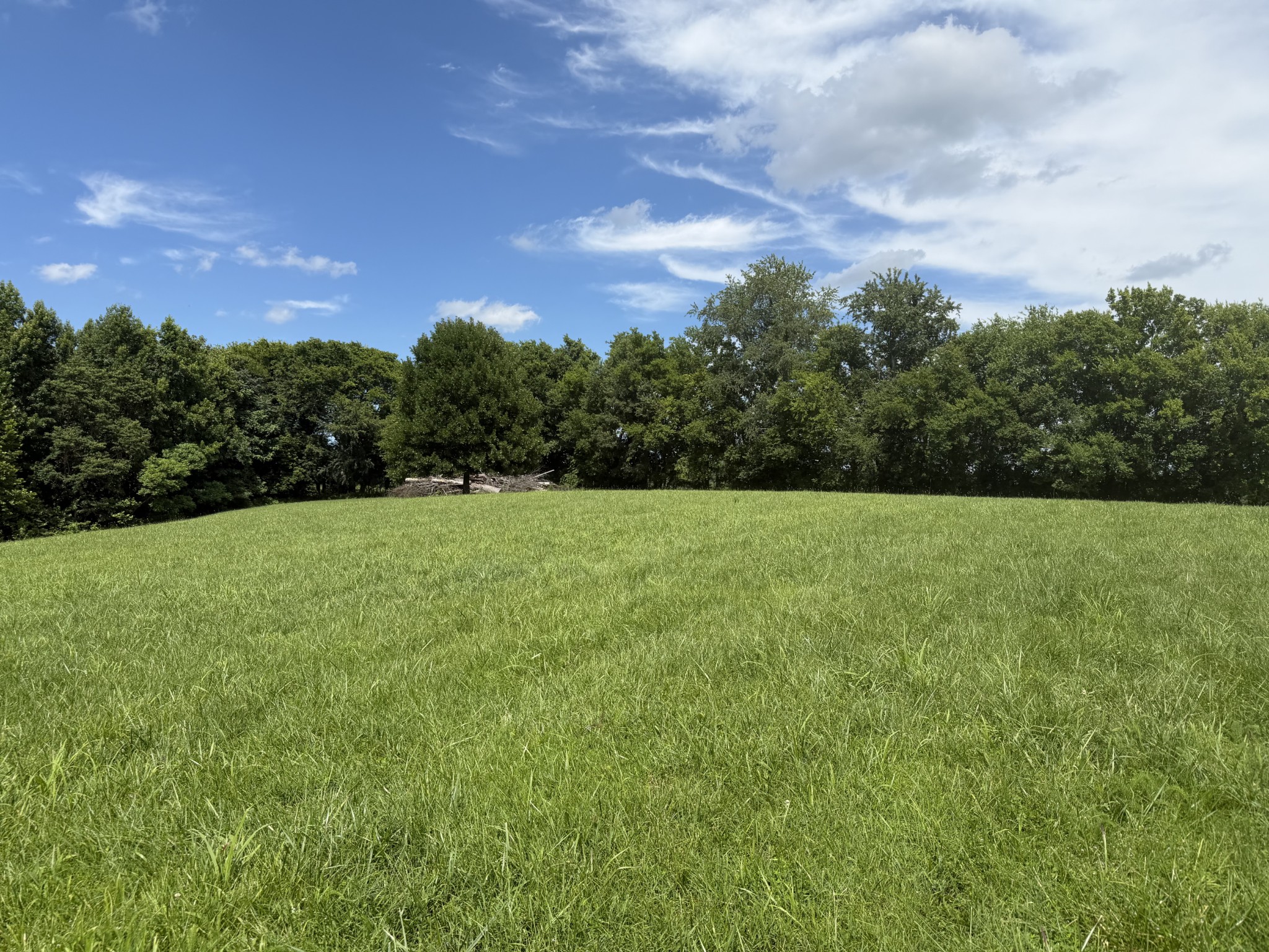 700 Sleepy Hollow Road Pulaski, TN 38478 - Photo 2 of 2