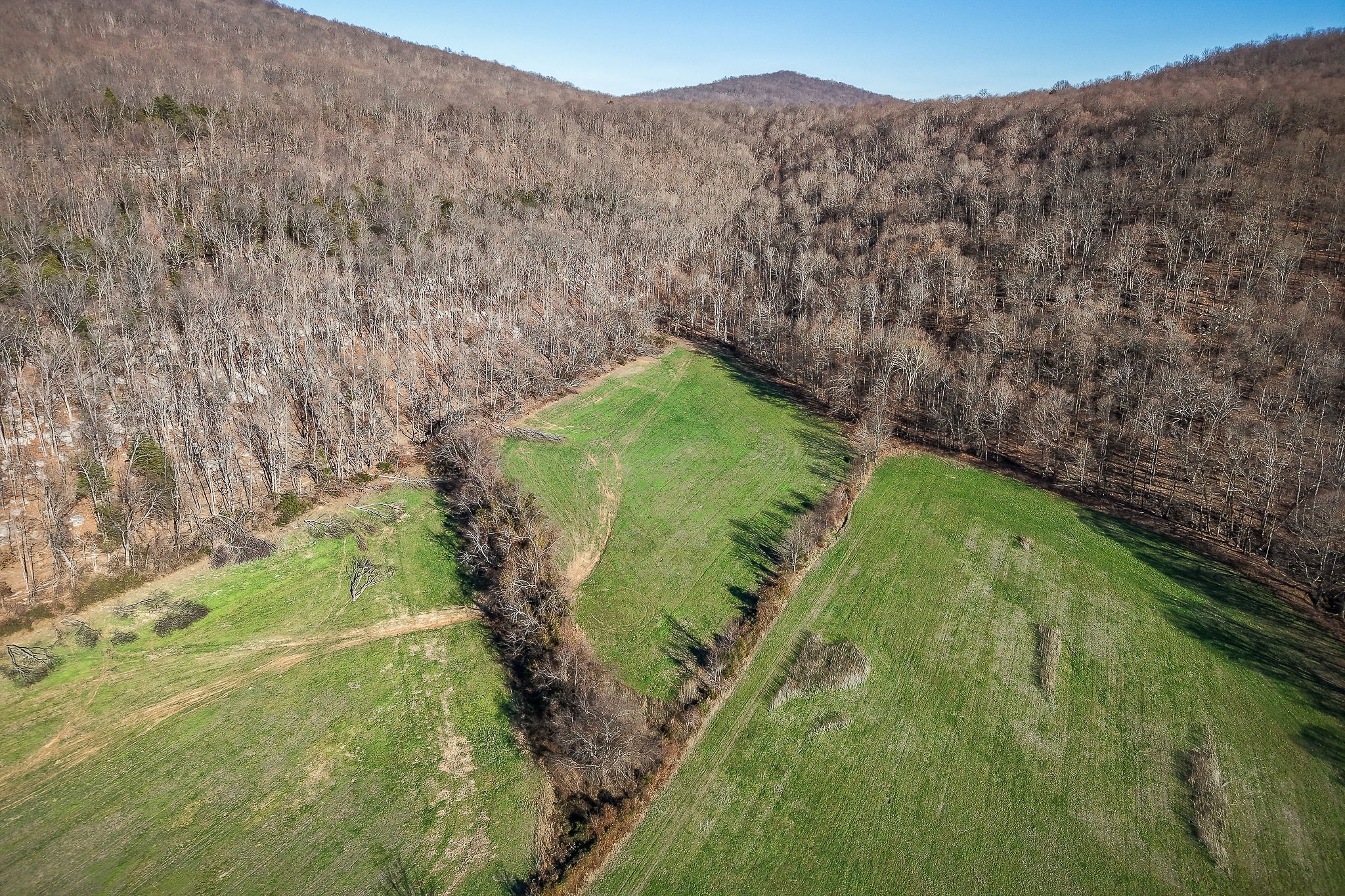 505 Thaxton Road McMinnville, TN 37110 - Photo 7 of 31 a view of a back yard of the house