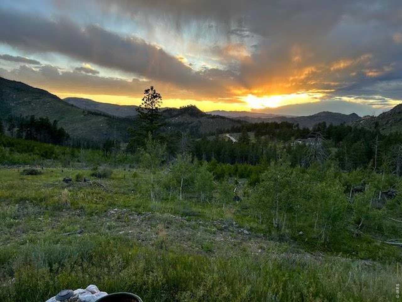 892 Stratton Park Road Bellvue, CO 80512 - Photo 19 of 27 a view of a city with lush green forest