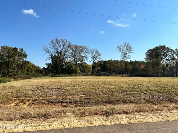 $95,000 | 7 Hazelwood Dr Lake, Lake Cormorant, MS 38641