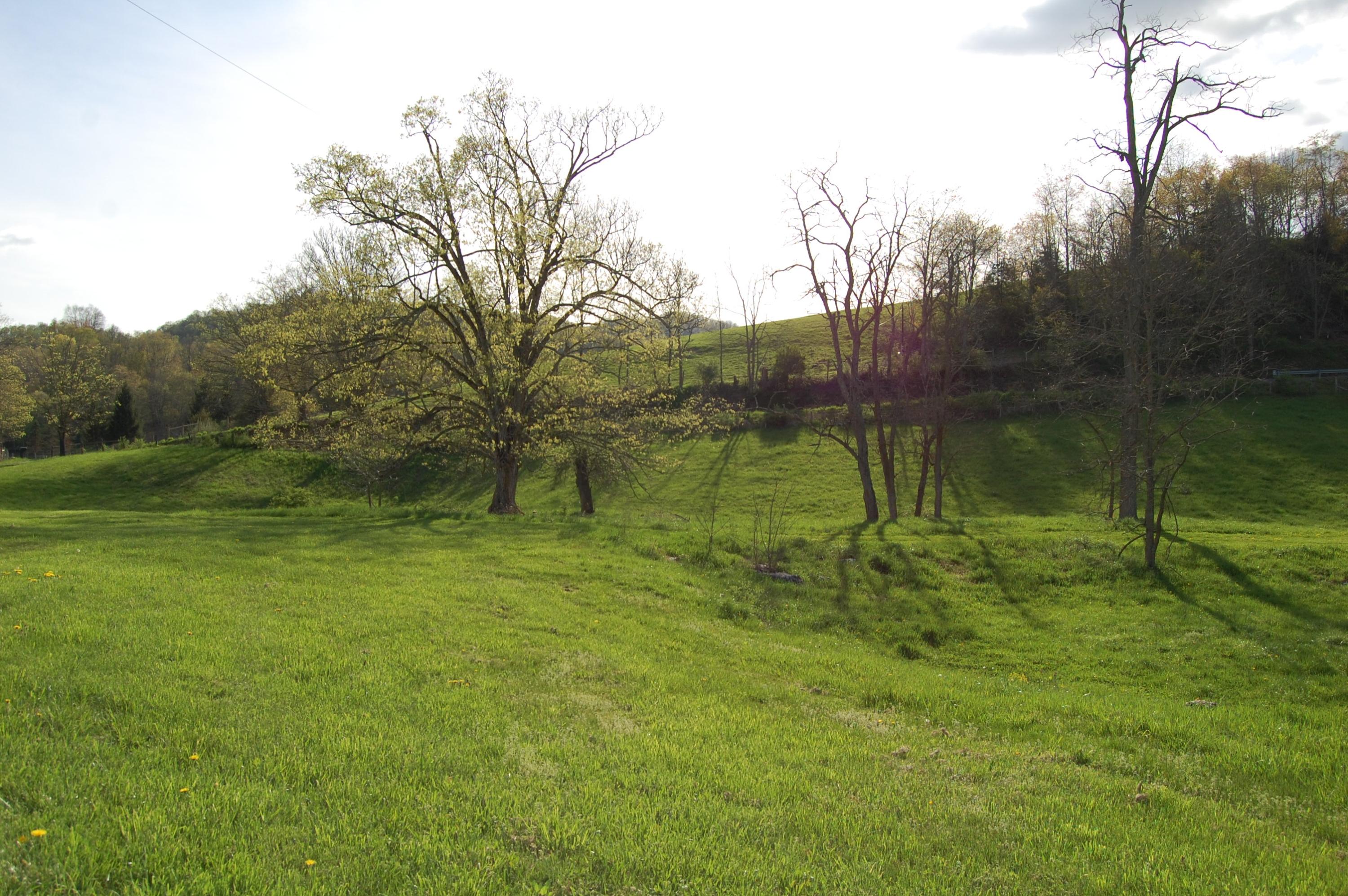 3846 Carroll Hill Road Lewisburg, WV 24901 - Photo 17 of 51 DSC_5338