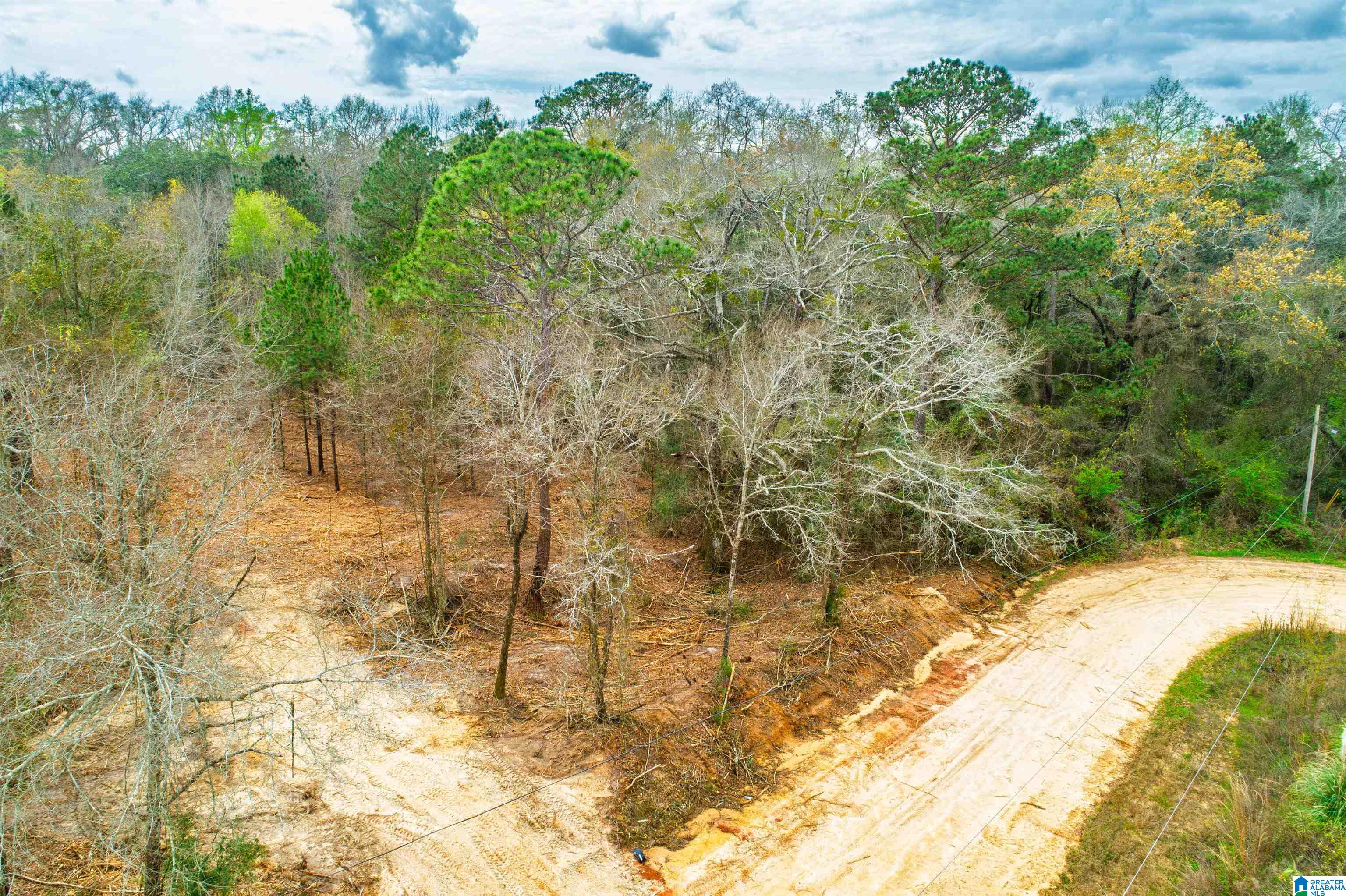 27180 Deer Run Road Opp, AL 36467 - Photo 25 of 60