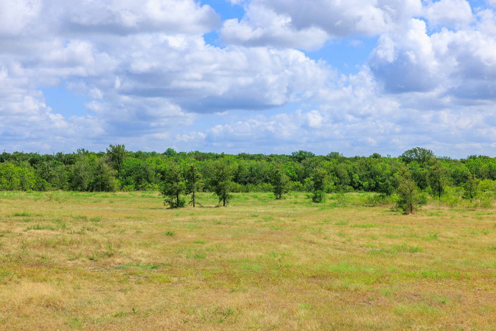 8804 Williamson Road Buda, TX 78610 - Photo 7 of 37 Mature trees frame the open grassy acreage under expansive blue skies.