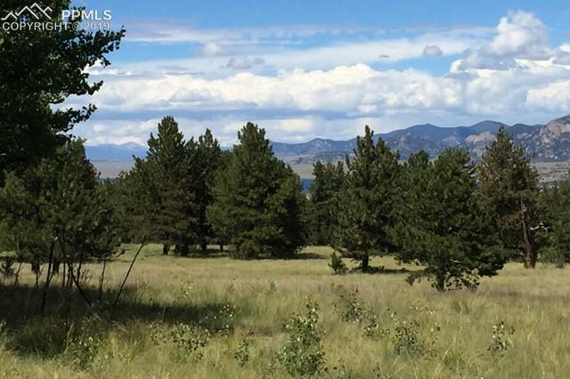 470 Ranger Station Road Guffey, CO 80820 - Photo 27 of 36