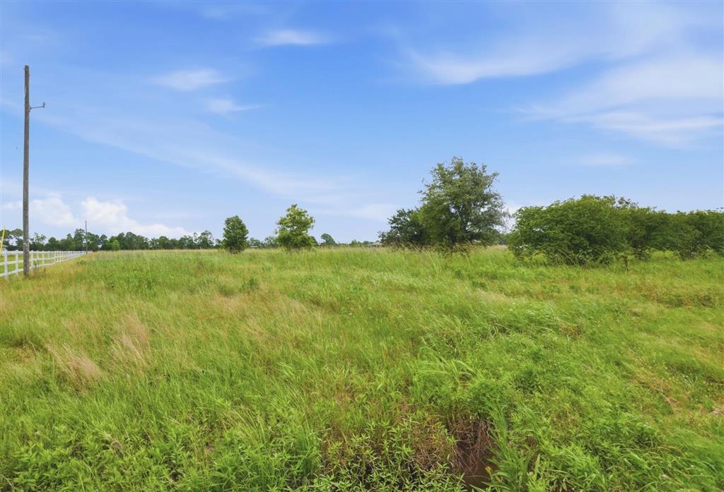 24468 Gillson Road Iowa, LA 70647 - Photo 8 of 11