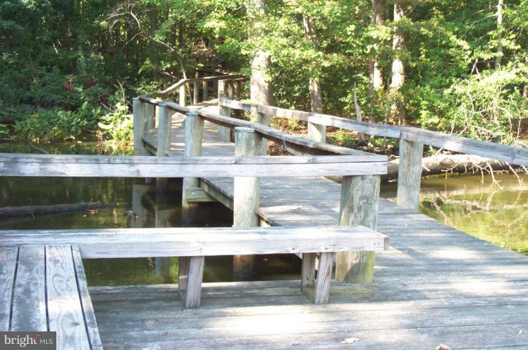 233 Mill Church Road Arnold, MD 21012 - Photo 22 of 24 walkway to water/benches to rest