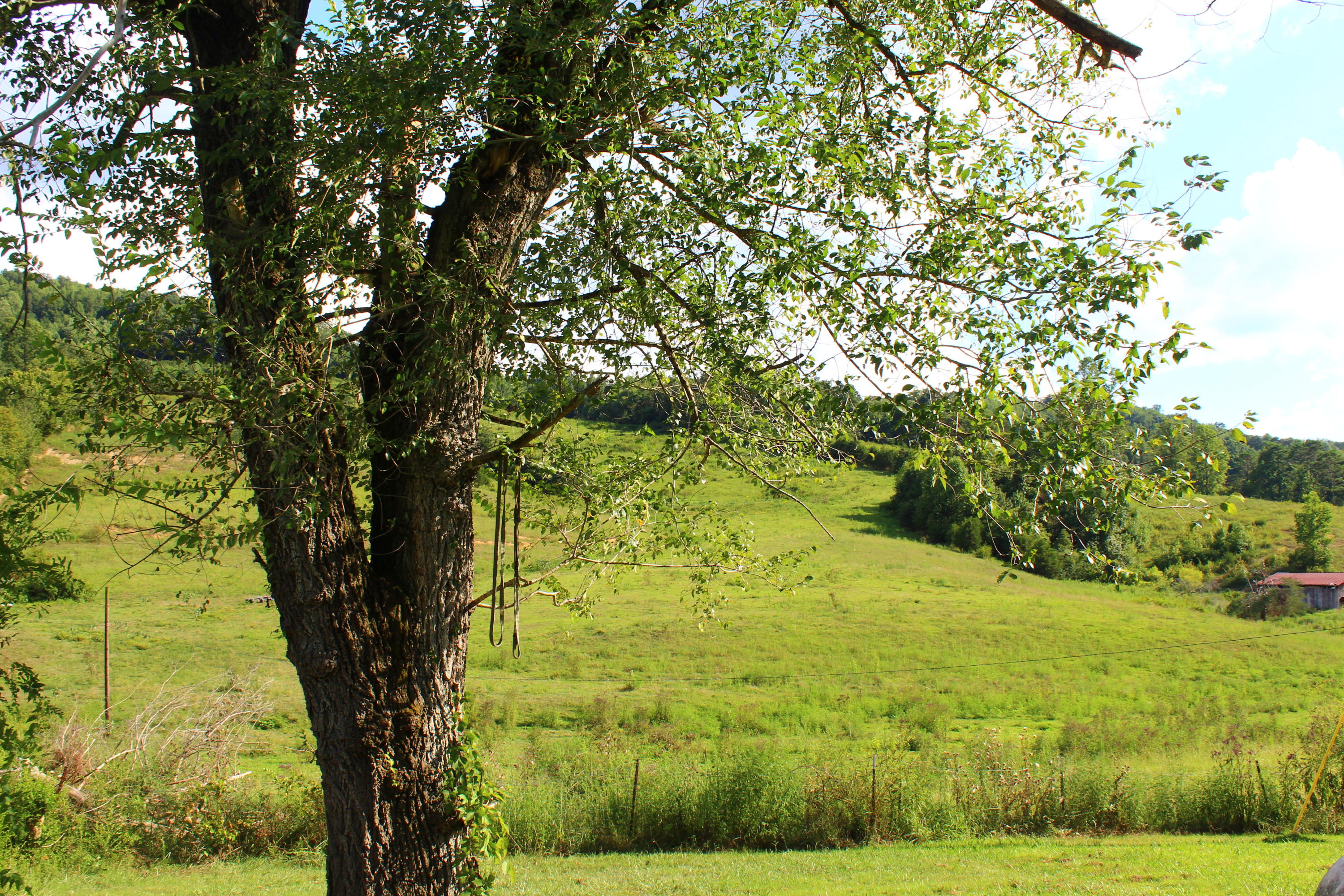 979 Little Valley Road Maynardville, TN 37807 - Photo 20 of 31 IMG_4601