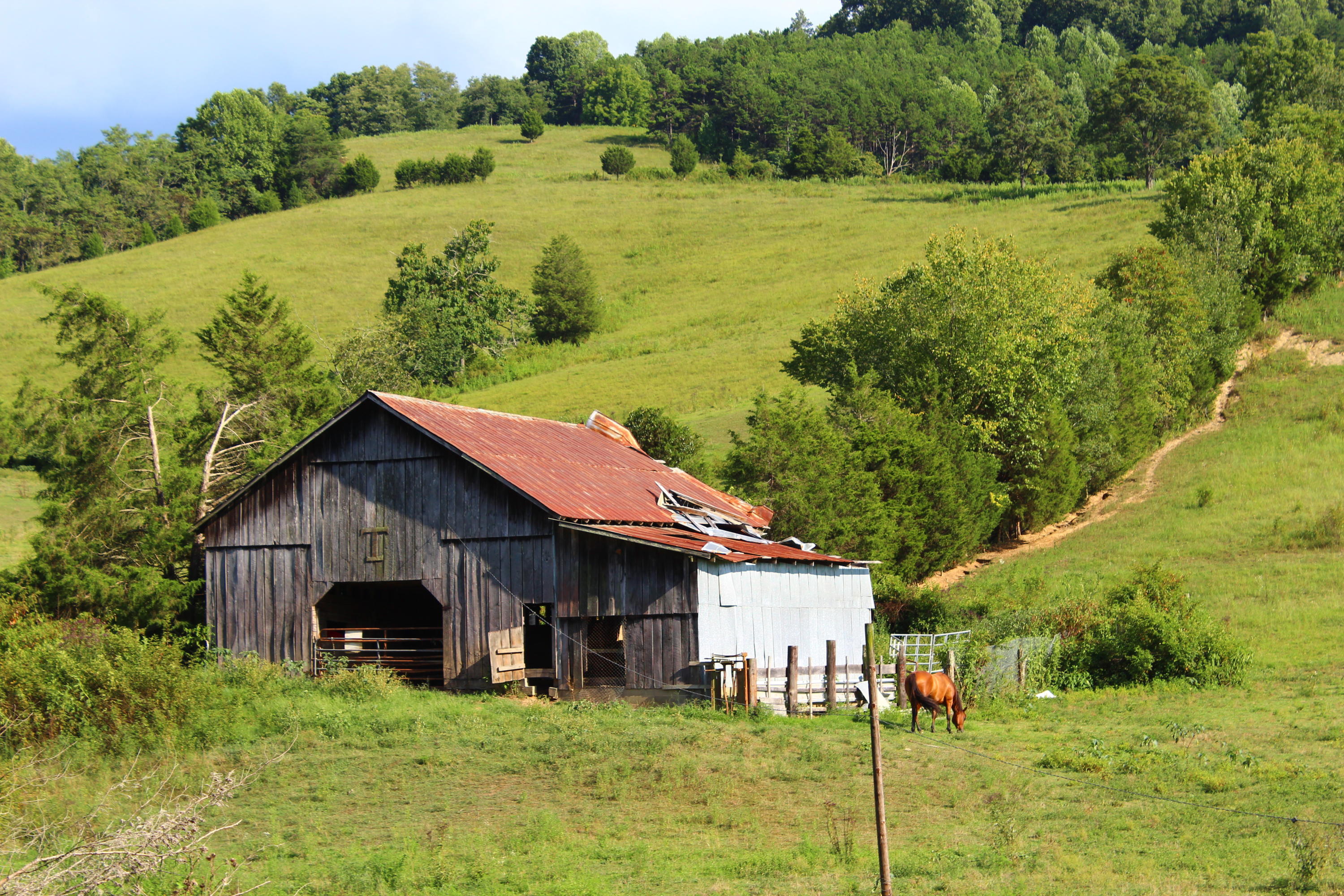 979 Little Valley Road Maynardville, TN 37807 - Photo 21 of 31 IMG_4607