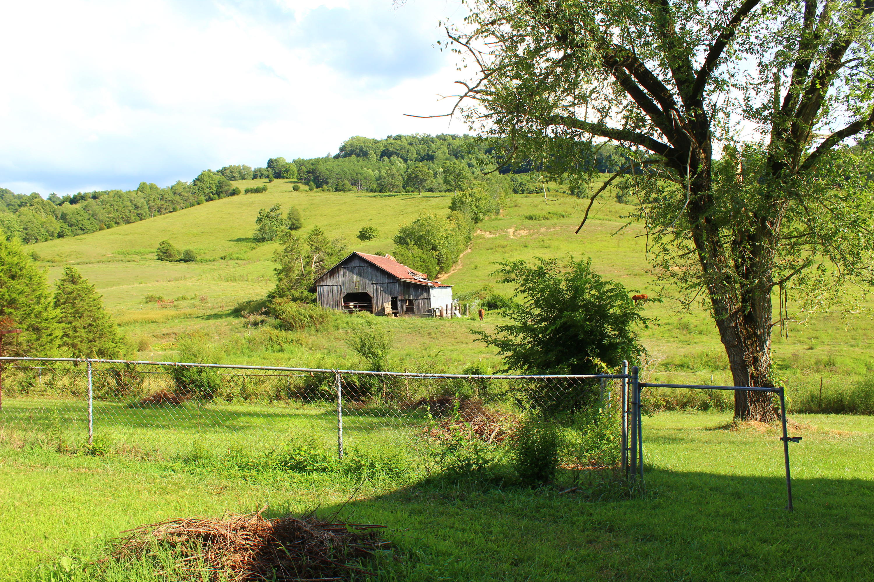 979 Little Valley Road Maynardville, TN 37807 - Photo 27 of 31 IMG_4612