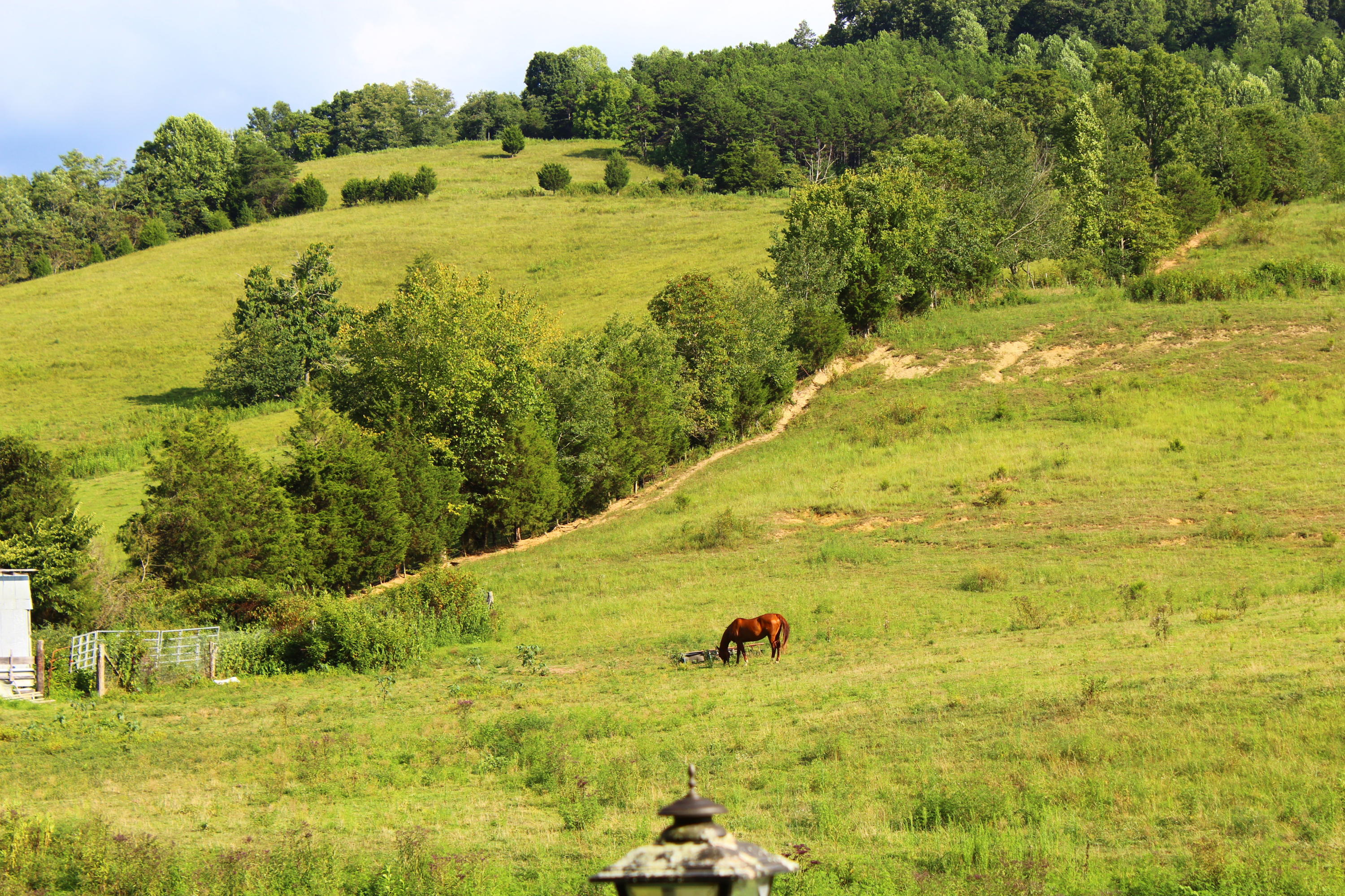 979 Little Valley Road Maynardville, TN 37807 - Photo 28 of 31 IMG_4621