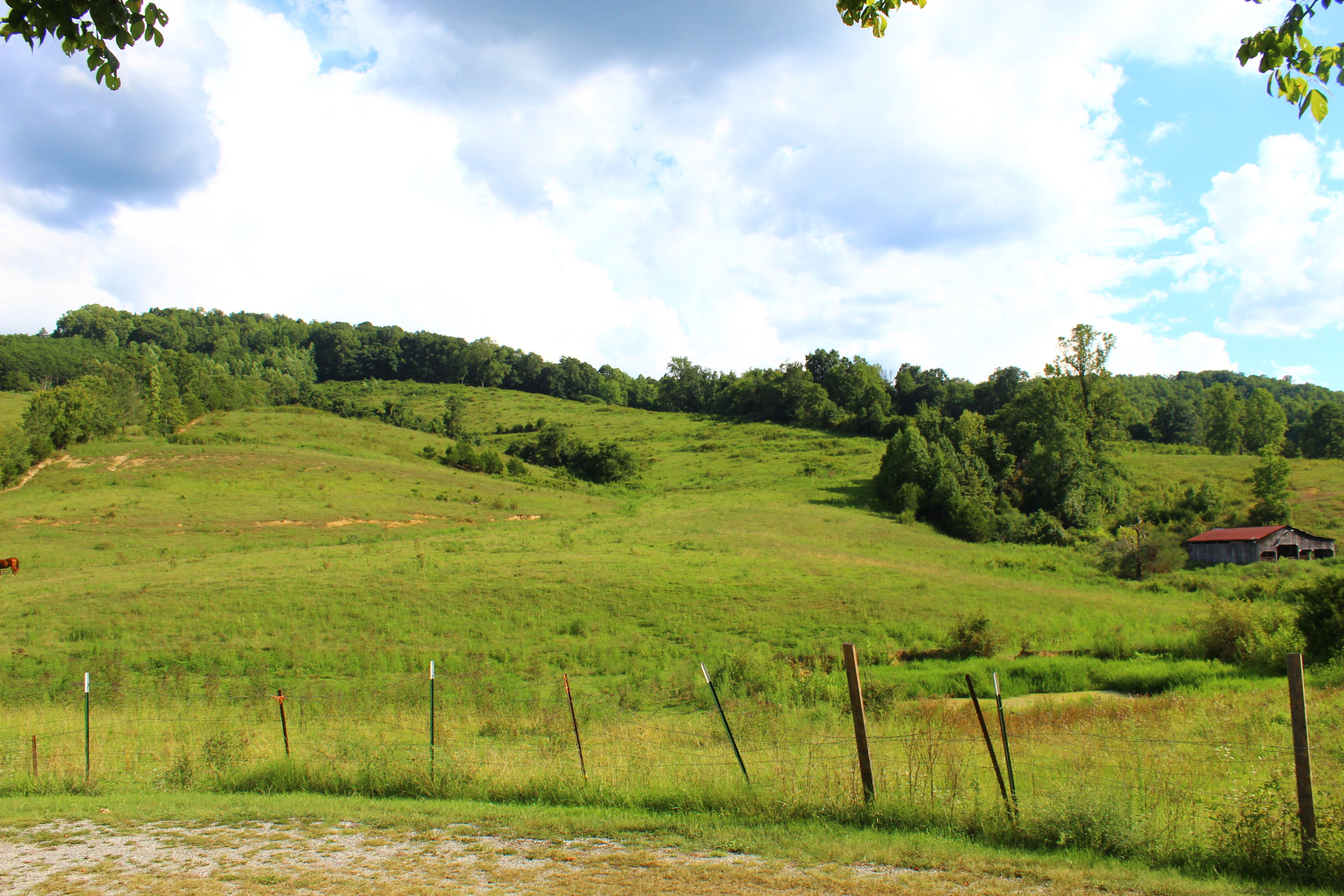 979 Little Valley Road Maynardville, TN 37807 - Photo 29 of 31 IMG_4623