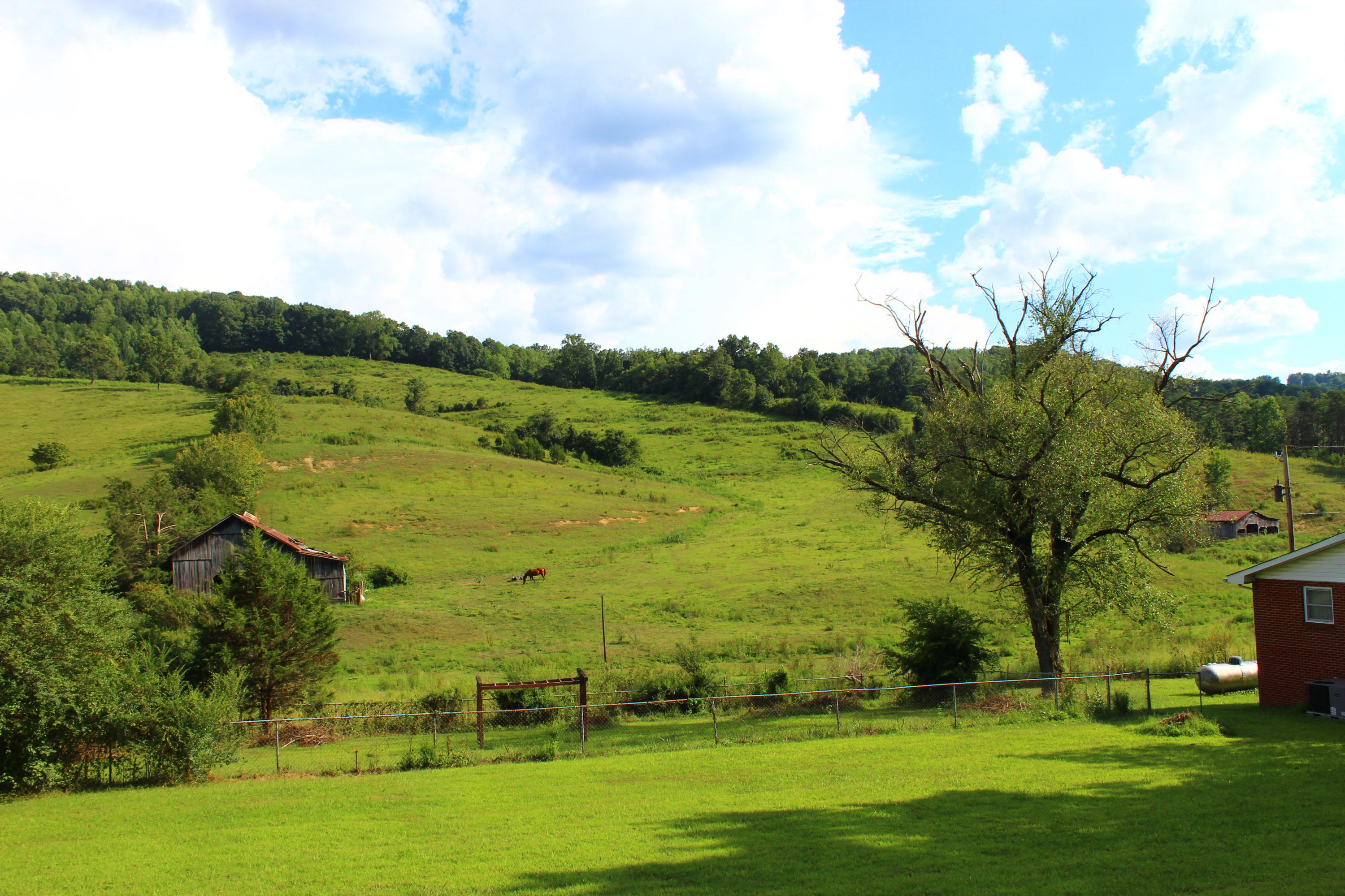 979 Little Valley Road Maynardville, TN 37807 - Photo 31 of 31 IMG_4636