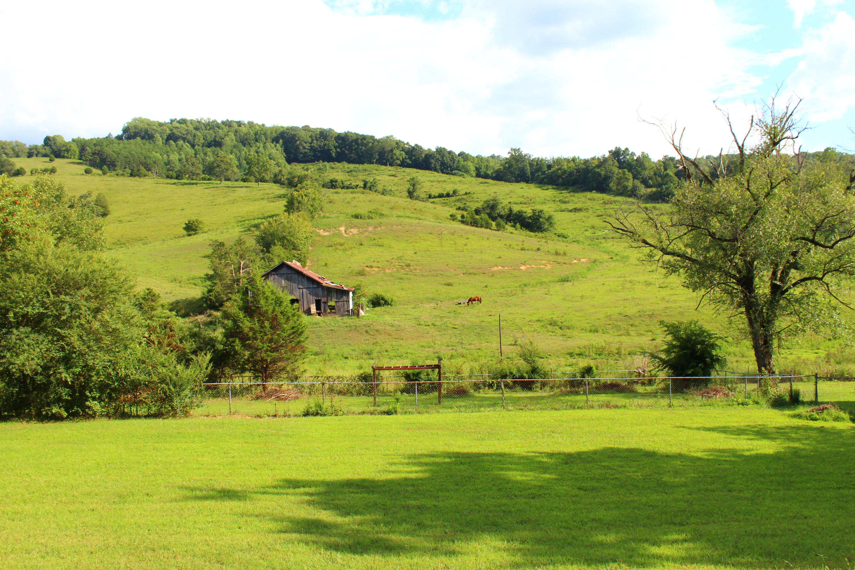 979 Little Valley Road Maynardville, TN 37807 - Photo 8 of 31 IMG_4632