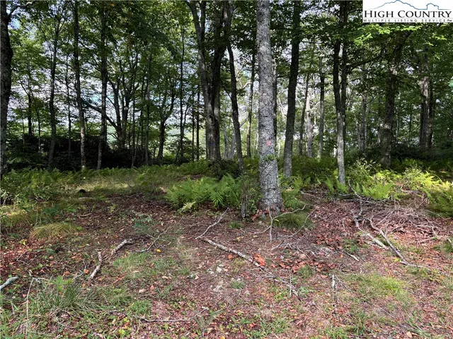 $124,900 | Lot 3 Fieldstone Hts Drive, Blowing Rock, NC 28605
