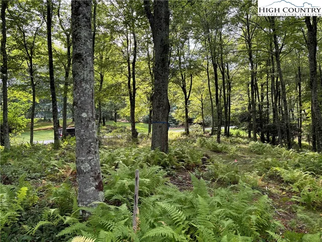 $124,900 | Lot 3 Fieldstone Hts Drive, Blowing Rock, NC 28605