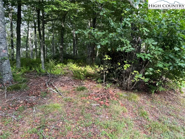 $124,900 | Lot 3 Fieldstone Hts Drive, Blowing Rock, NC 28605