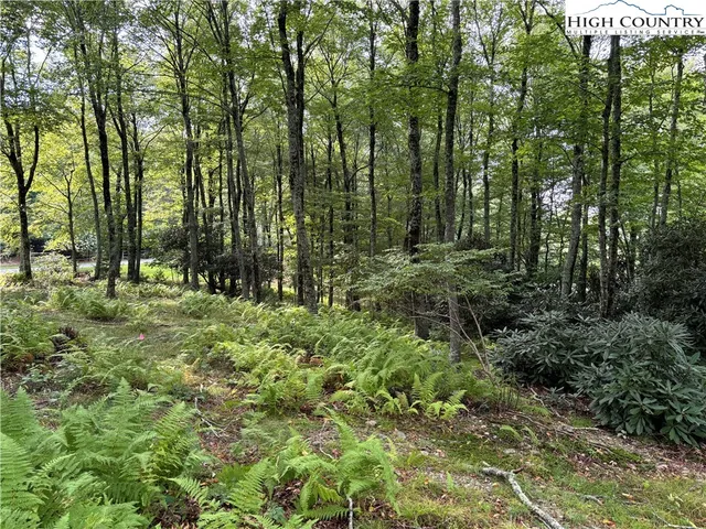 $124,900 | Lot 3 Fieldstone Hts Drive, Blowing Rock, NC 28605
