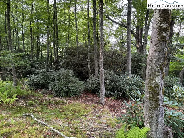 $124,900 | Lot 3 Fieldstone Hts Drive, Blowing Rock, NC 28605