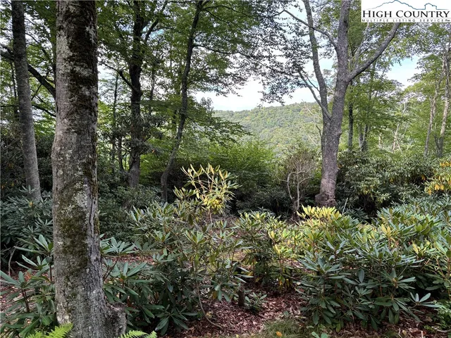 $124,900 | Lot 3 Fieldstone Hts Drive, Blowing Rock, NC 28605