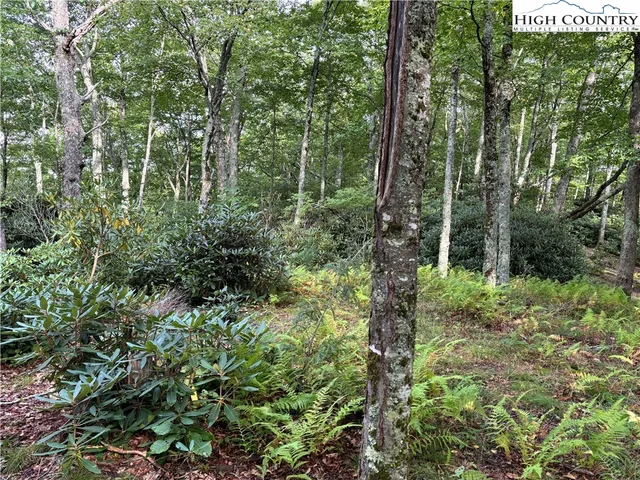 $124,900 | Lot 3 Fieldstone Hts Drive, Blowing Rock, NC 28605