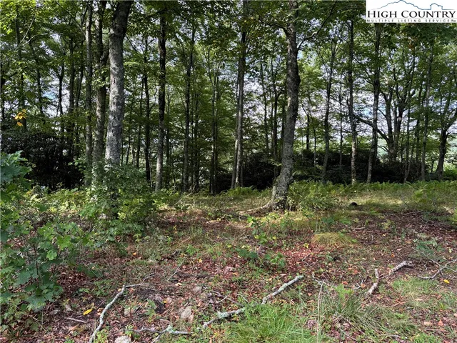 $124,900 | Lot 3 Fieldstone Hts Drive, Blowing Rock, NC 28605