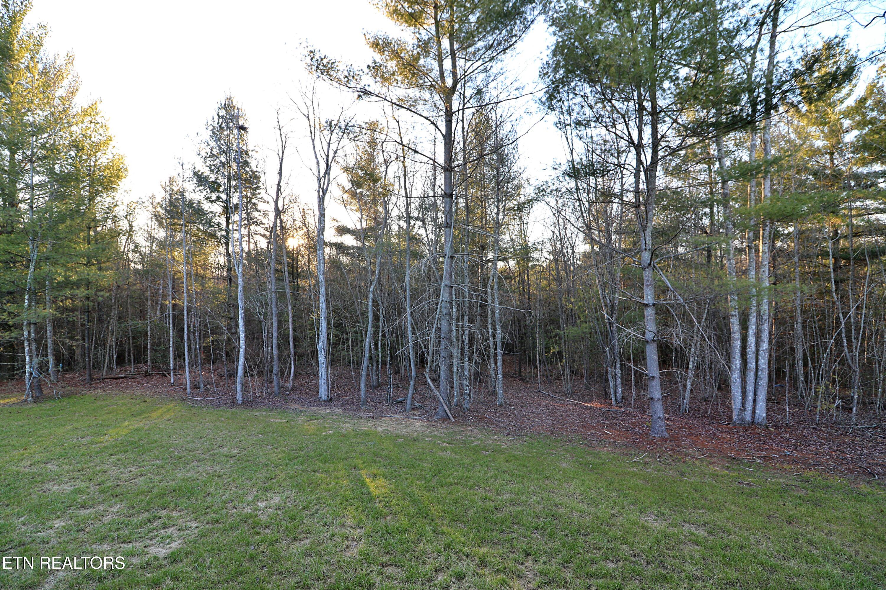 654 Taylon Lane Oneida, TN 37841 - Photo 9 of 52 094A0100