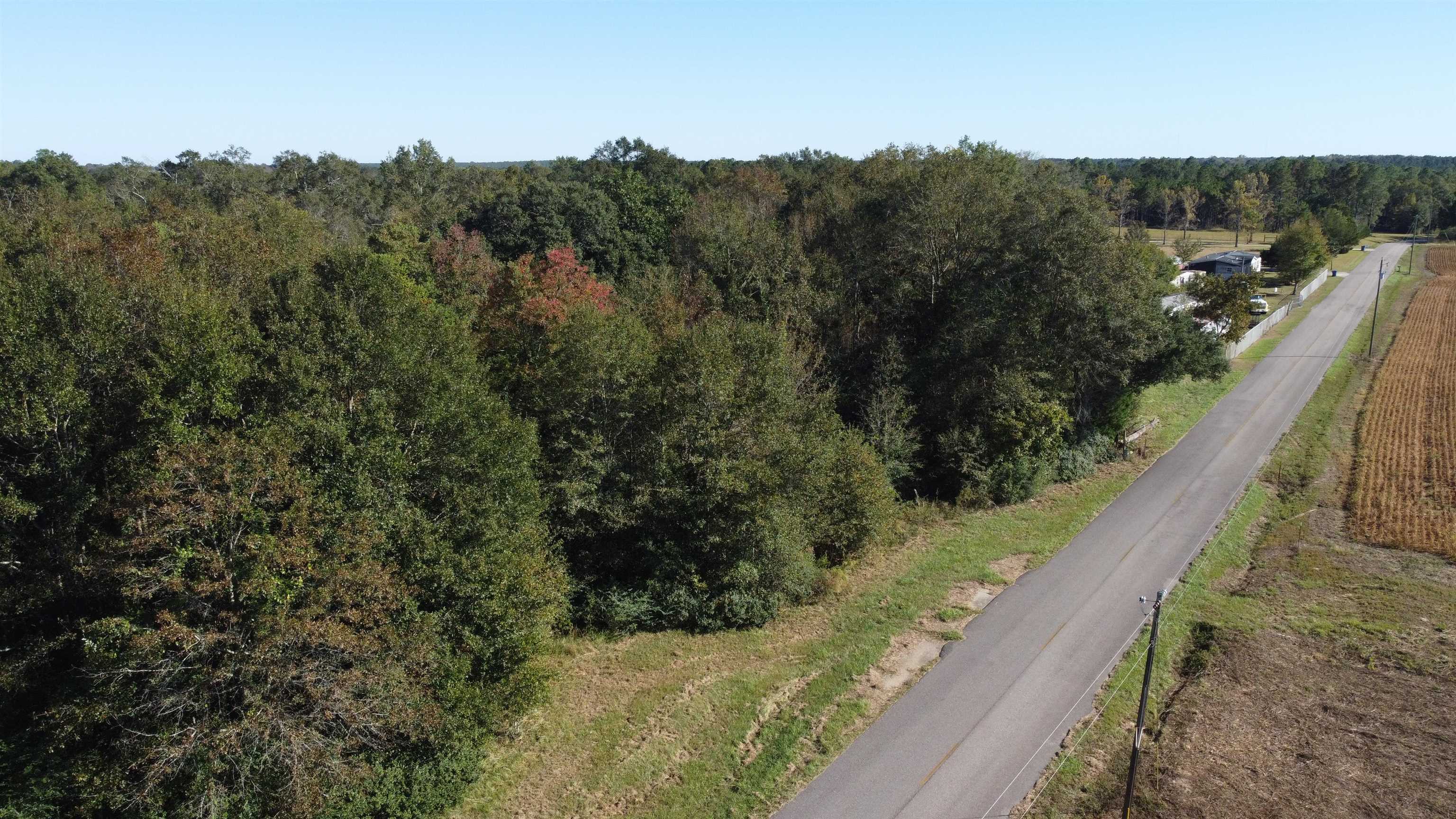 0 Cowpen Creek Road Atmore, AL 36502 - Photo 11 of 21