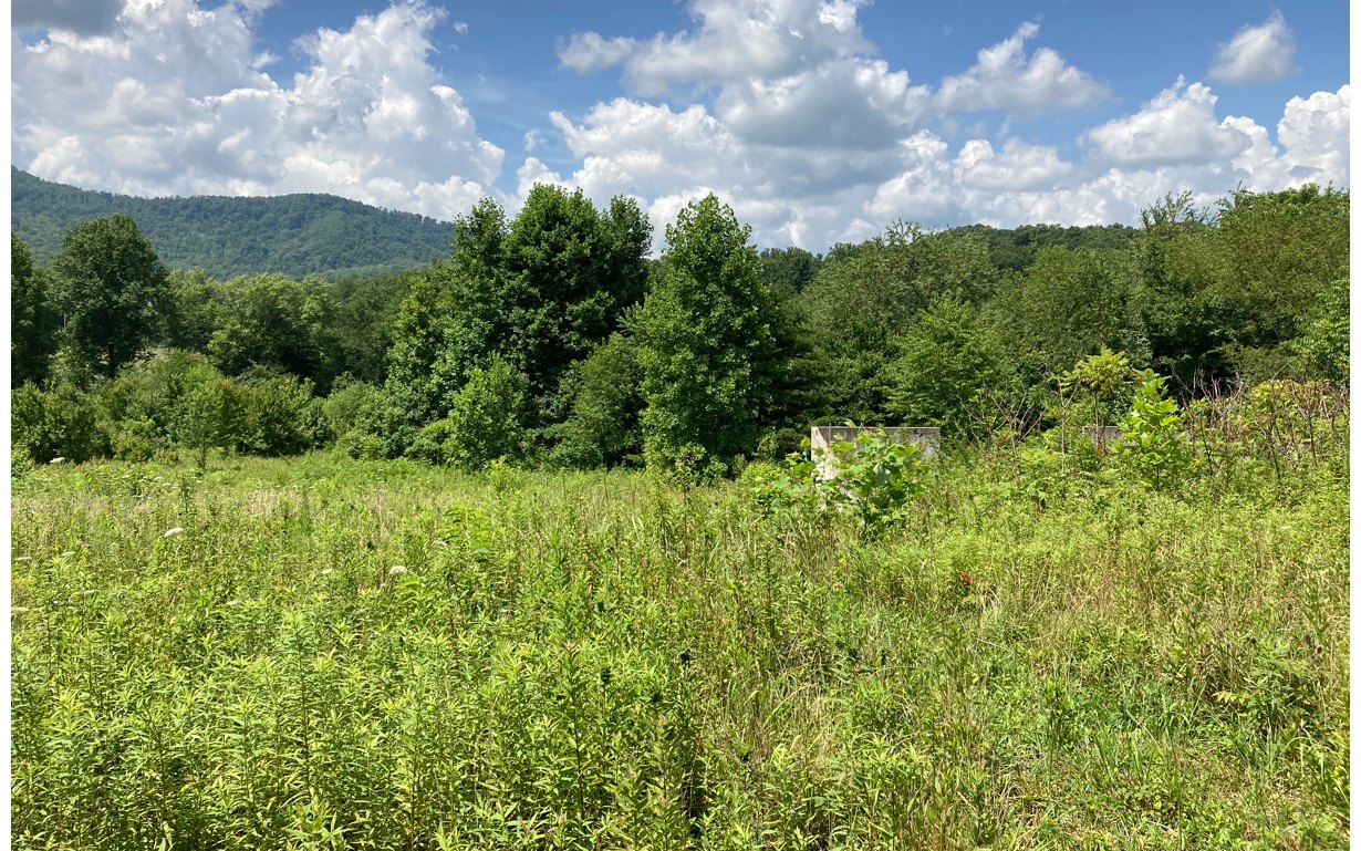 1805 Wehutty Road Murphy, NC 28906 - Photo 4 of 4 Additional View