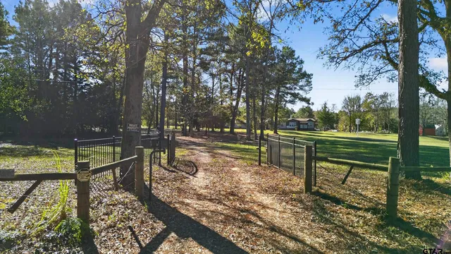 a view of a bench in a garden