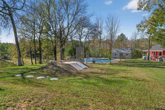 a view of a park with large trees
