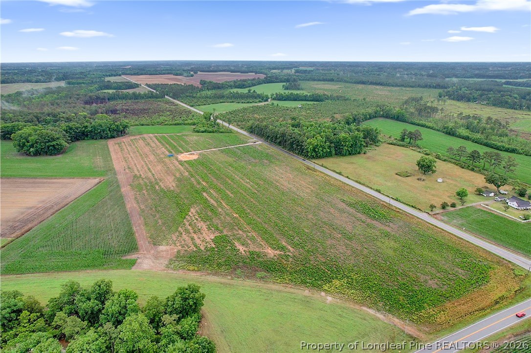 Lot 4 Buie Philadelphus Road Red Springs, NC 28377 - Photo 8 of 11