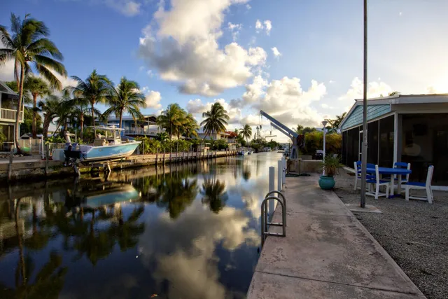 a lake view with boat and palm trees