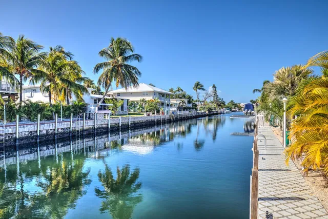 a view of a lake with palm trees