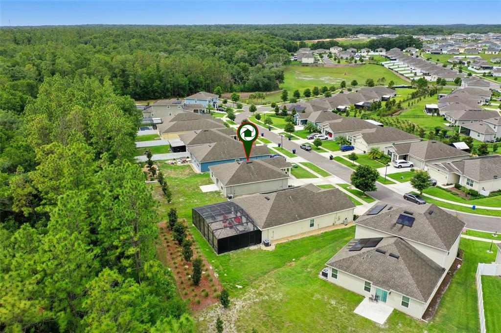 4810 Magnetite Loop Mount Mount Dora, FL 32757 - Photo 3 of 67