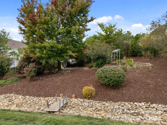 a view of a garden with plants