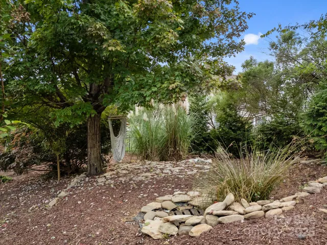 a view of a forest with trees