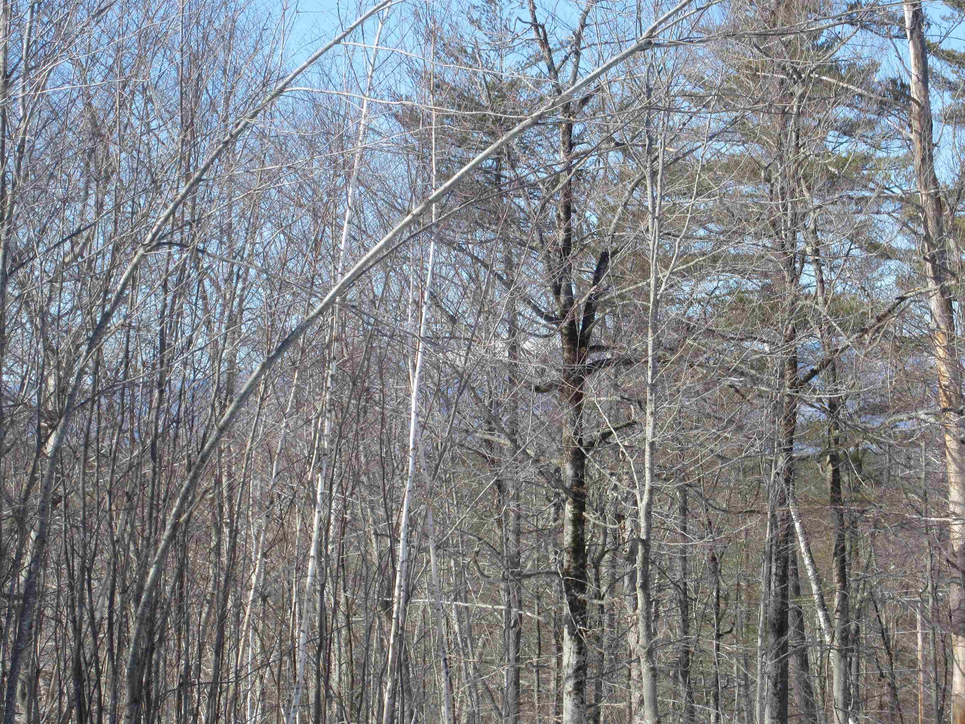 15-2 Lovell Road Sweden, ME 04040 - Photo 4 of 7