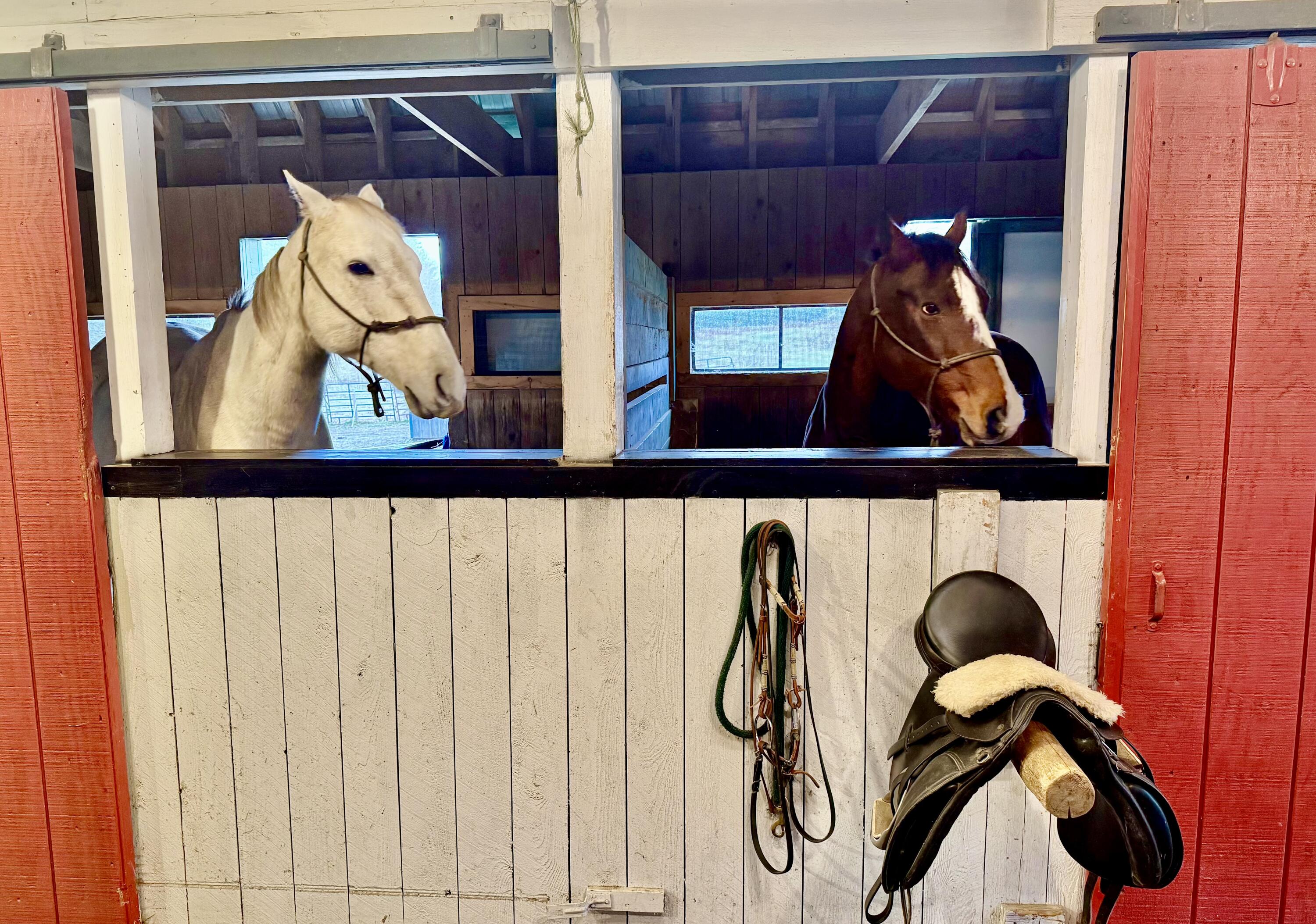 186 Garland Line Road Dover Foxcroft, ME 04426 - Photo 11 of 29 IMG_1780