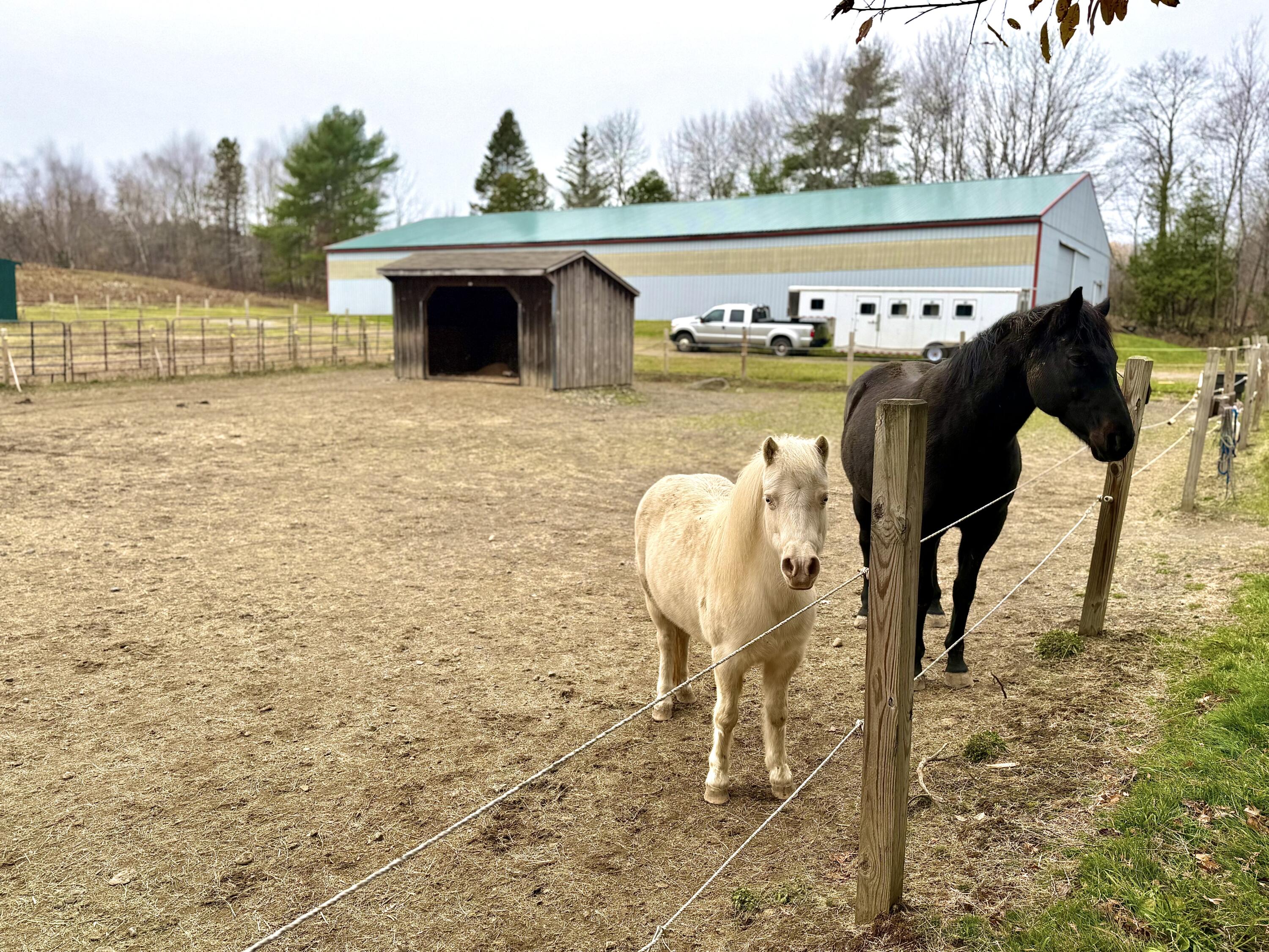 186 Garland Line Road Dover Foxcroft, ME 04426 - Photo 14 of 29 IMG_0428