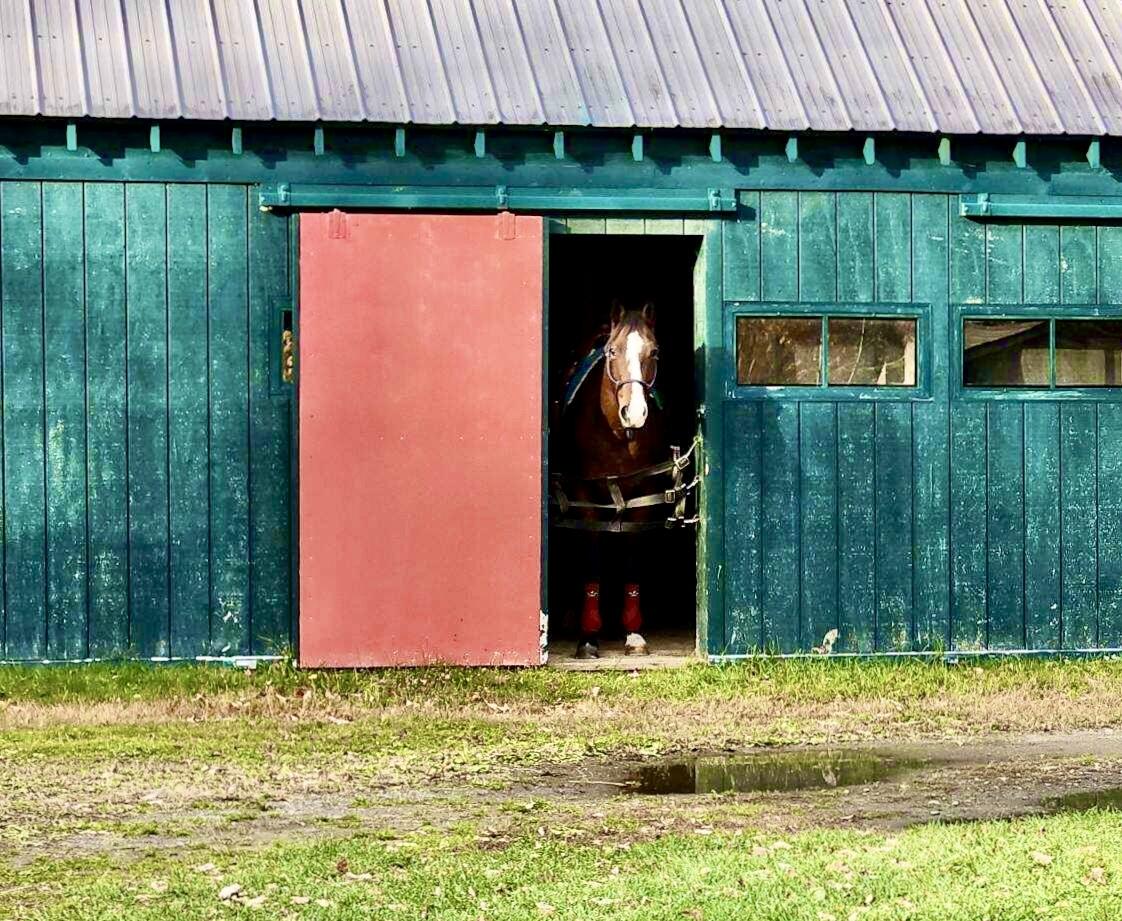 186 Garland Line Road Dover Foxcroft, ME 04426 - Photo 20 of 29 image000002