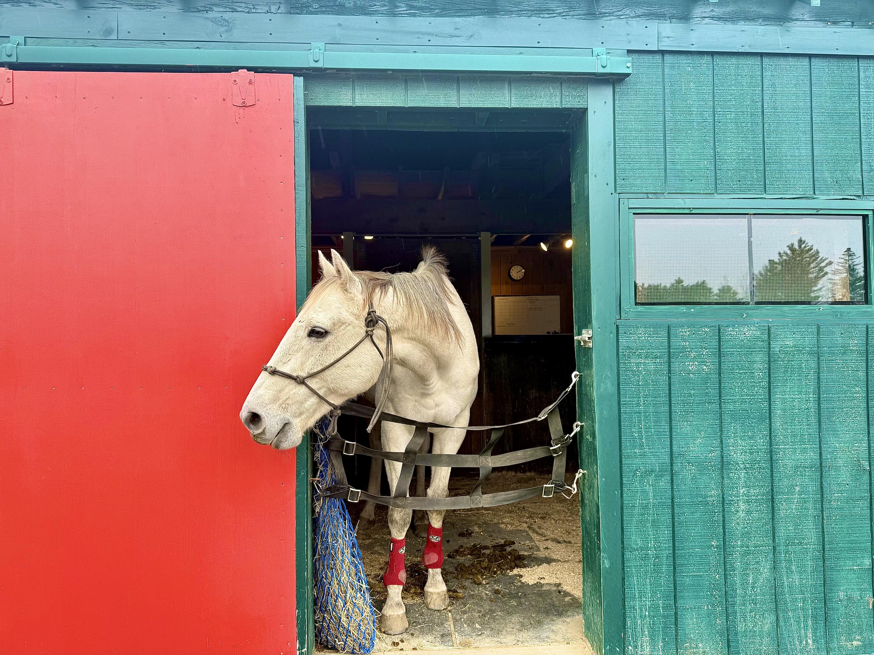 186 Garland Line Road Dover Foxcroft, ME 04426 - Photo 22 of 29 IMG_1798
