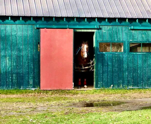 $350,000 | 186 Garland Line Road, Dover Foxcroft, ME 04426