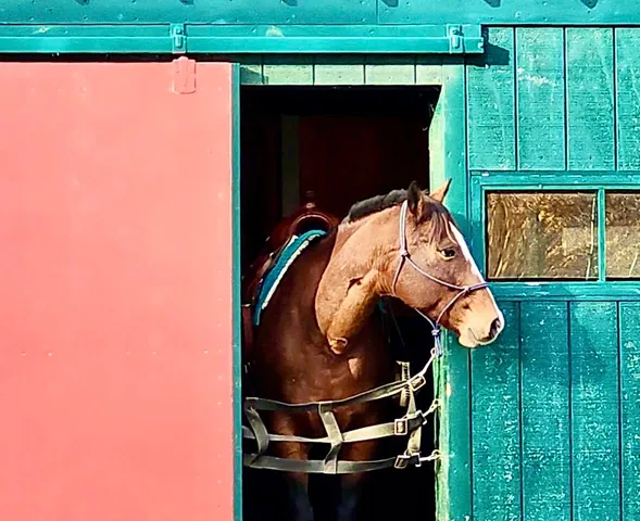 $350,000 | 186 Garland Line Road, Dover Foxcroft, ME 04426