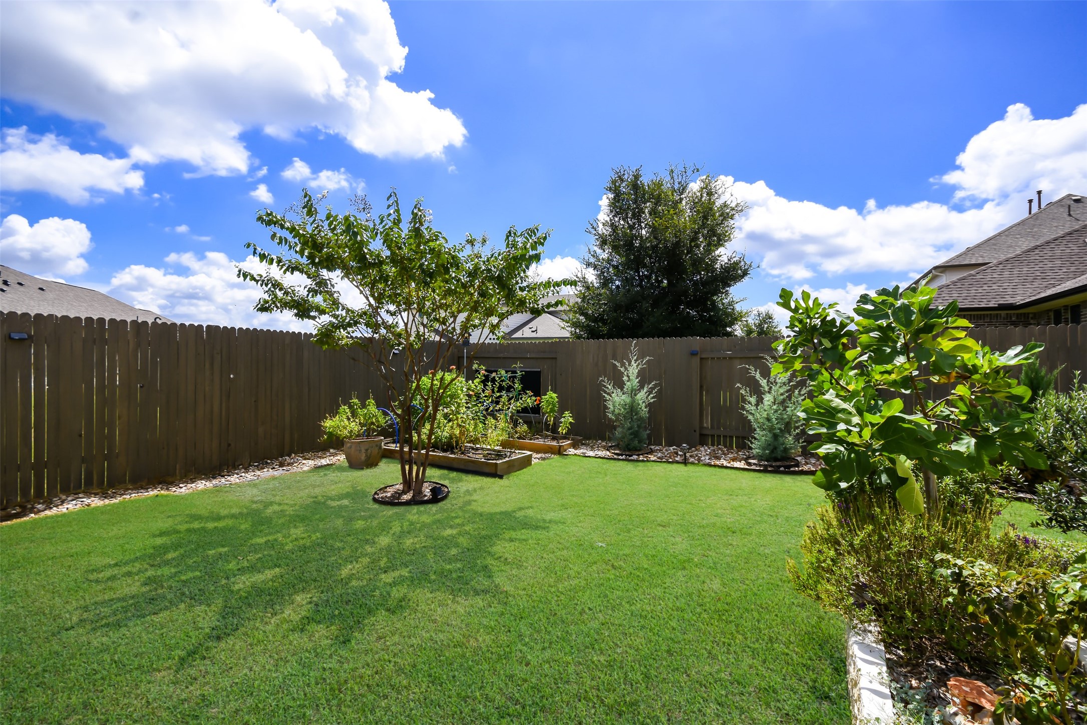 105 Potts Street Georgetown, TX 78628 - Photo 12 of 37 a backyard of a house with lots of green space