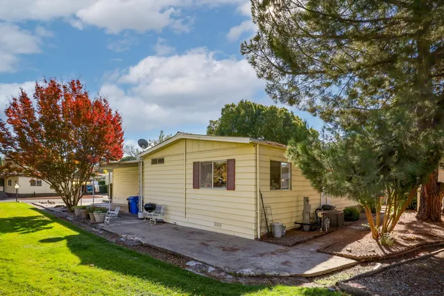 a view of a backyard with plants and large tree