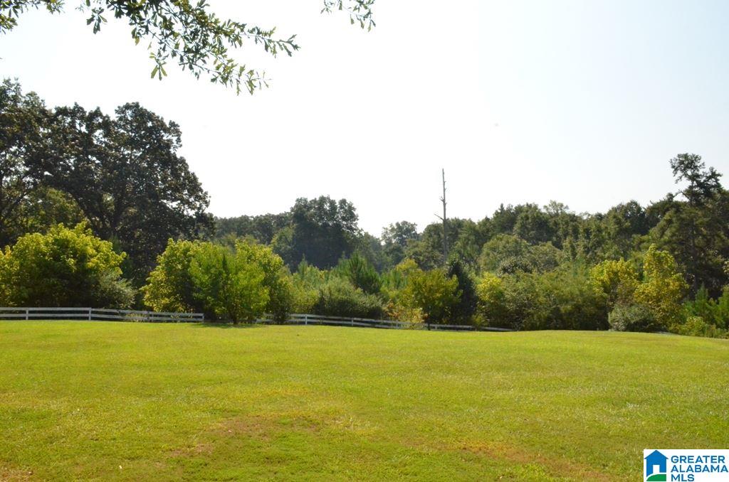 84 Cheatwood Road Talladega, AL 35160 - Photo 36 of 50