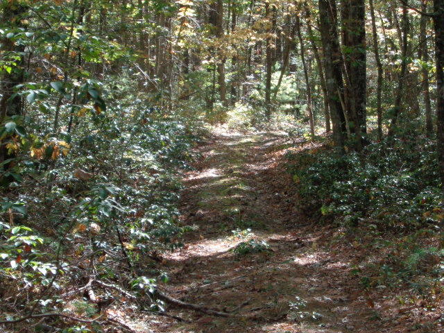 89.63 Acres that join the George washigt